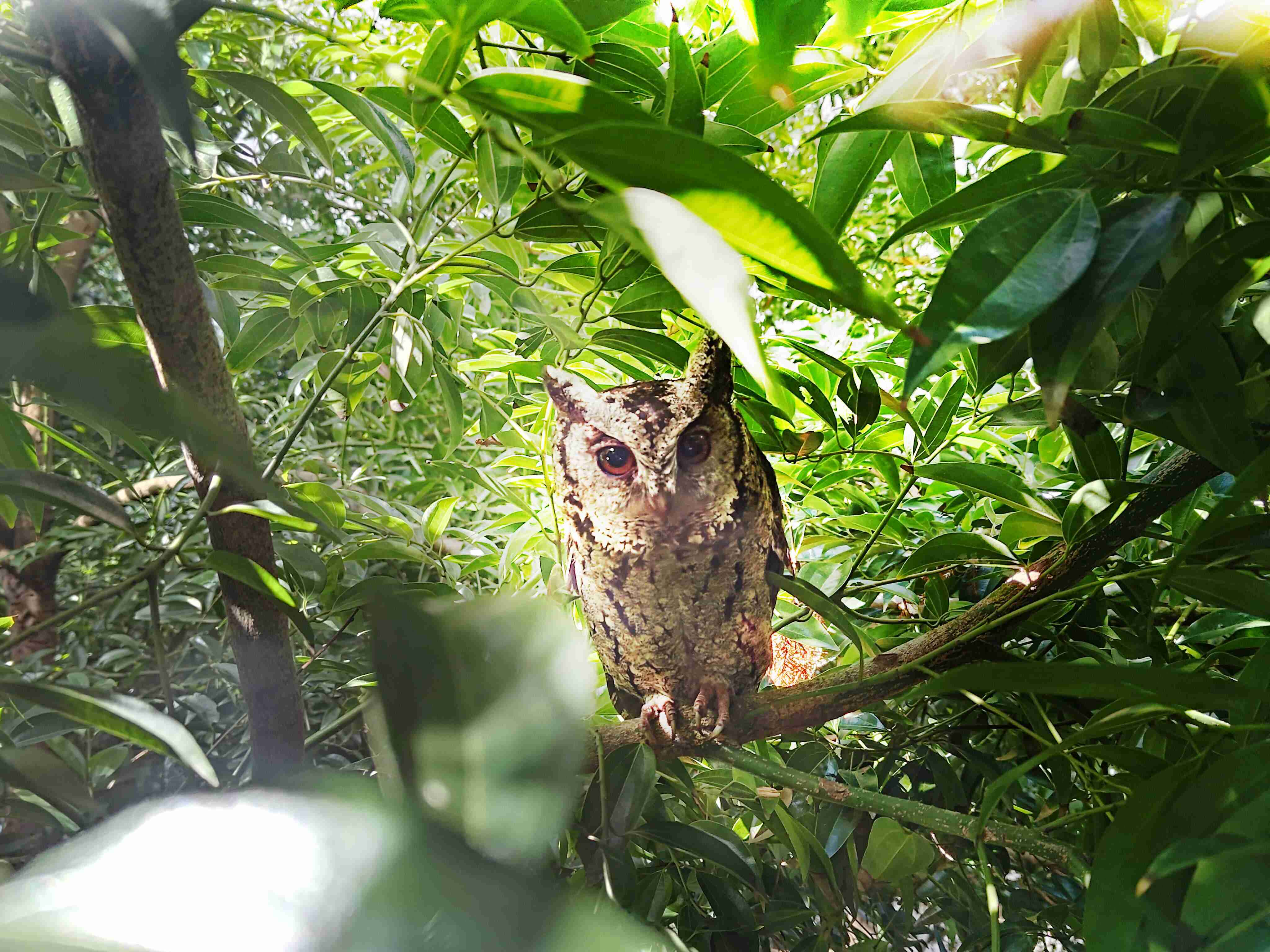优游UB8致力提倡净零绿生活，，，，16年以来在全球各厂区植树逾百万棵，，，，造就各厂区树木蔚然成林，，犹如森林工厂，，，，成为许多生物的栖息地